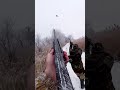 Охота на фазана/Красивый выстрел