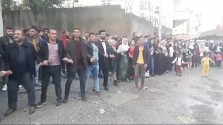 Pi̇yani̇st Gökhan Düğünü Rojhat Ci̇zi̇ri̇ Ferhat Ci̇zi̇ri̇ Canli Yayin(Foto Deniz Silopi)