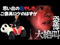 思い出の花やしきで大絶叫【恐怖】