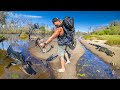 Solo 24hr backpack survival in alligator ally danger close