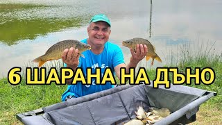 картинка: Разбих шараните на язовир Геранея! Кеф и адреналин!
