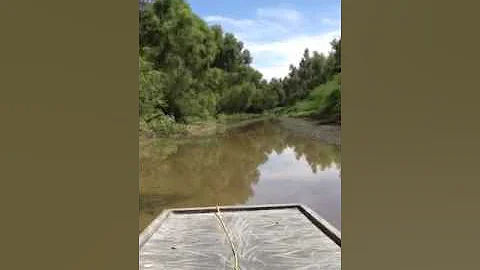Mud boat riding in Bayou Pigeon