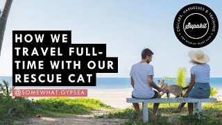 Van Life With a Cat – Supakit Community Experts by Supakit 336 views 1 year ago 2 minutes, 37 seconds