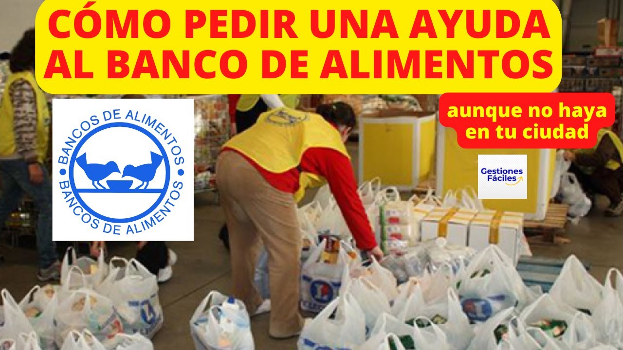 Ayuda de Alimentos Cruz Roja: Formulario de Solicitud 11