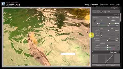 Mapping Mouse Wheel with Paddy