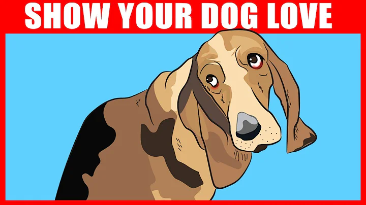 9 Ways to Tell Your Dog You Love Them - DayDayNews