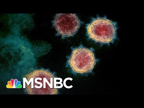 first-u.s.-coronavirus-death-confirmed-in-washington-state-|-msnbc