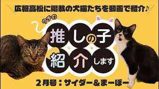 ウチの推しの子紹介します(広報高松2月号)