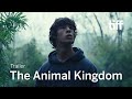 THE ANIMAL KINGDOM Trailer | TIFF 2024