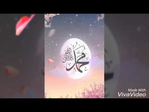 Al Muallim by Sami yusuf edited vedio ❤❤❤❤❤❤❤❤❤❤❤❤❤❤ also used as status