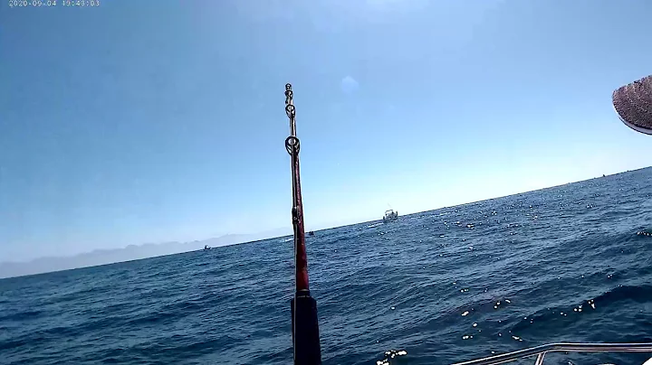 William on his first Striped Marlin in Cabo