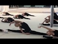 Rhythmic Gymnastics Conditioning in Russia