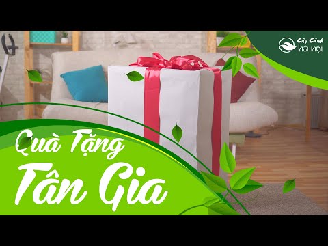 Video: Bạn có gói quà tân gia không?