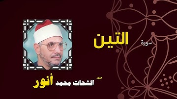 القران الكريم بصوت الشيخ الشحات محمد انور| سورة التين