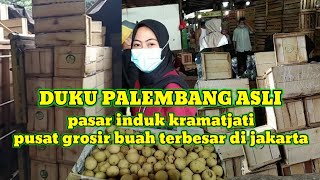 Download lagu DUKU PALEMBANG harga & ciri khas Pasar induk kramatjati ulmm channel