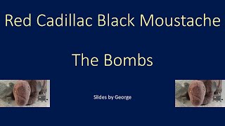The Bombs   Red Cadillac Black Moustache  karaoke