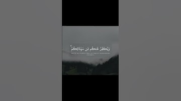 تلاوة مريحة للقارئ عبدالرحمن ناجي لسورة البقرة #عبدالرحمن_ناجي #محمد_اللحيدان