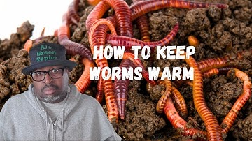 How To Keep A Worm Bin Warm In WINTER