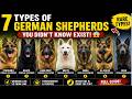 Different types of German shepherd breeds (Working Line vs Show Line Explained)