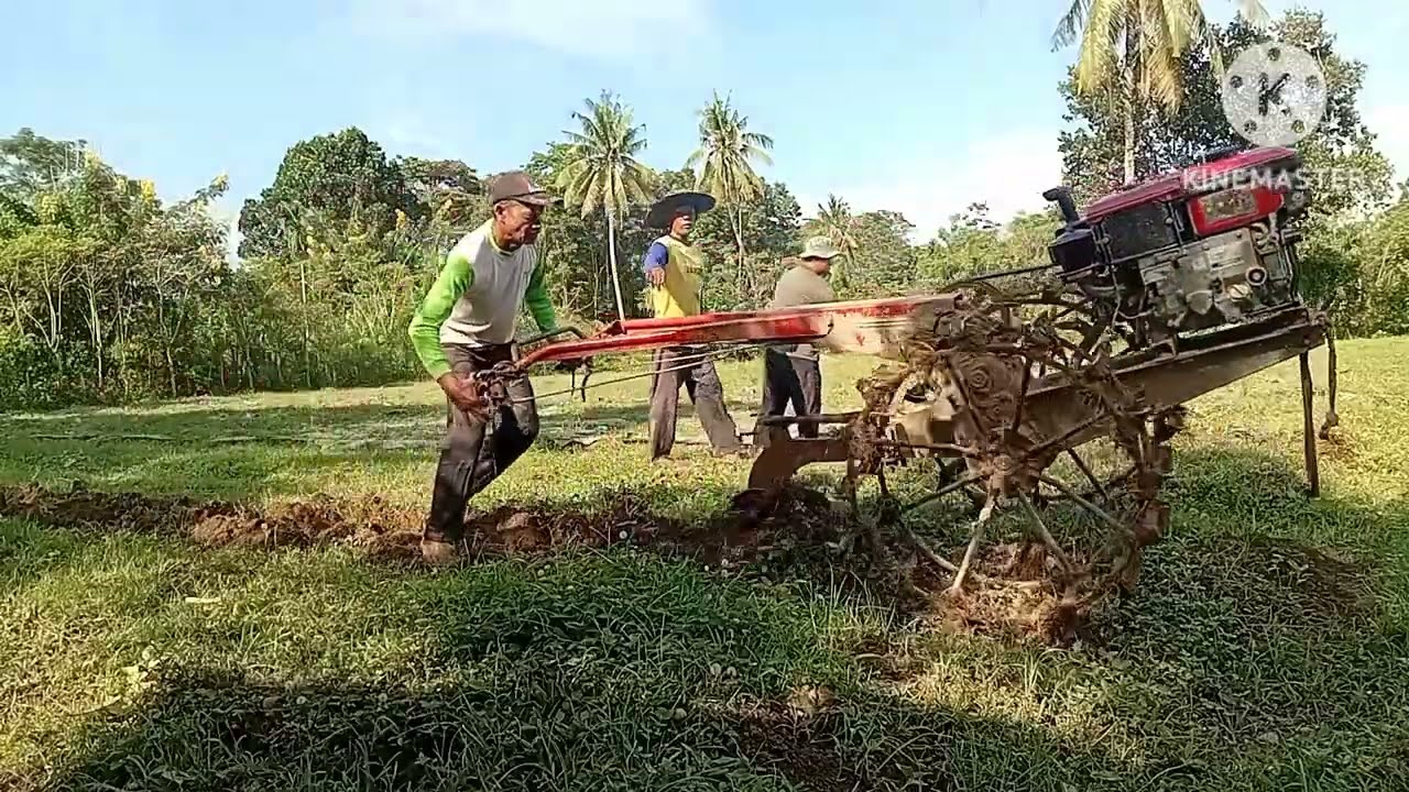 kehidupan dikebun, bajak tanah