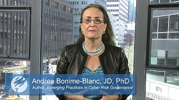 Insight Minute:  Is your company at risk for a cyber security breach?