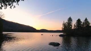 Timelapse Spring 2024