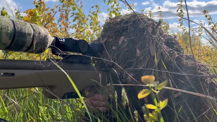 ЗСУ показали підготовку українських снайперів / Ukrainian Army showed the training of snipers