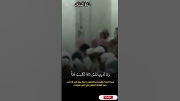 سورة لقمان _بأداء خيالي من شيخ #ياسرالدوسري _من صلاة التهجد _29 رمضان 1446
