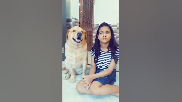smart dog leo❤ | talking dog leo | old video #shorts