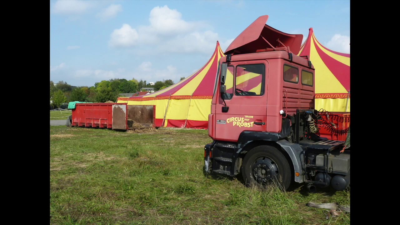 Circus Probst von Reinhard Probst