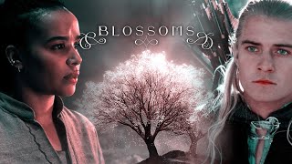 blossoms. || Tolkien Multicrossover [@Wintersmith.]
