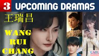 王瑞昌  Wang Rui Chang | THREE upcoming dramas | Wang Ruichang Drama List | CADL Resimi