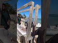 Exotic Caribbean. Kong and fresh fish in the Bahamas. Экзотика Кариб Конг и свежая рыба на Багамах.