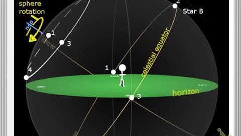 PHY1114 Module 1 Skills Test - Motion