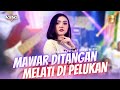 Syahiba Saufa Ft Ageng Music - Mawar Ditangan Melati Dipelukan (Official Live Music)