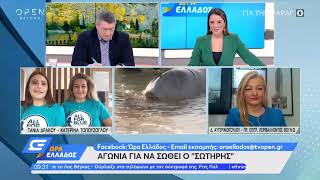 Η Δρ. Διονυσία- Θεοδώρα Αυγερινοπούλου στην εκπομπή "Ώρα Ελλάδος"- 31.01.2022
