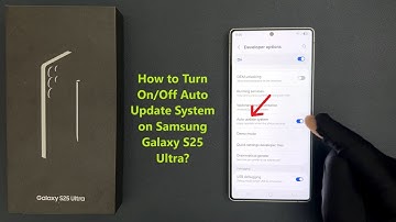 How to Turn On/Off Auto Update System on Samsung Galaxy S25 Ultra?