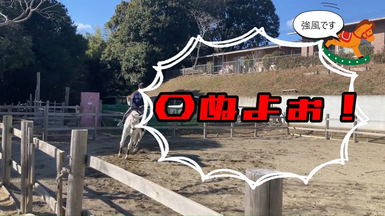 冬の騎乗R8.1.25嫁・・からの目指せ人馬一体