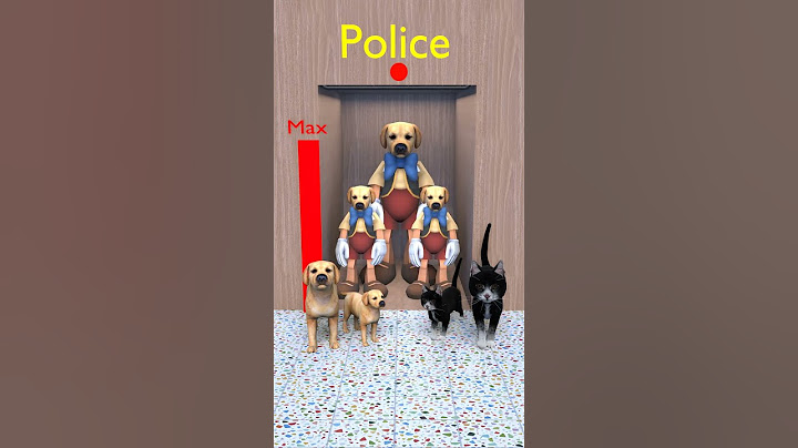 Cat vs dog. Who do you choose? #funny #dog #cat #shorts