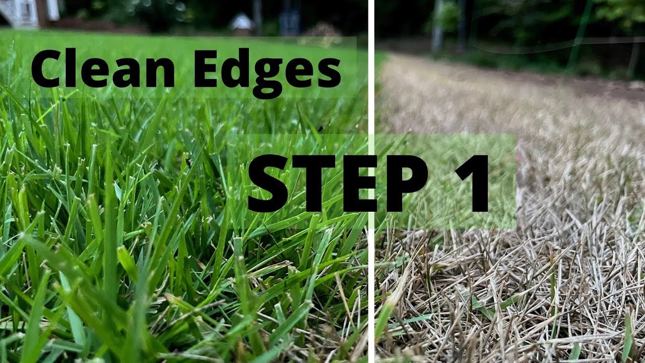 New Landscape Edge Layout // Initial Landscape Bed Preparation // Landscape Edging After Seed