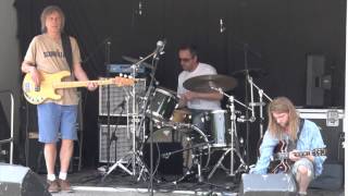 TOM VERNON - Chameleon (Ashton Gardens, St Annes, England 2014)