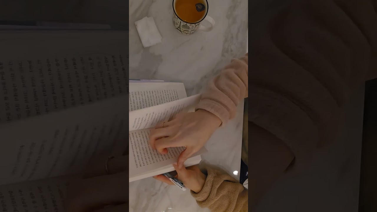 2026.2.14일 욘포세 3부작