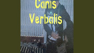 Canis Verbalis