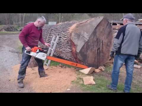 Dev Ağac Kesme.The giant Tree Cutting.Бой гигантских Деревьев