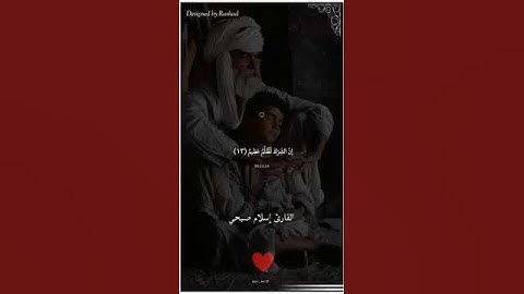 #قرآن كريم _ تلاوة خاشعة #للقارئ اسلام صبحي 🤍