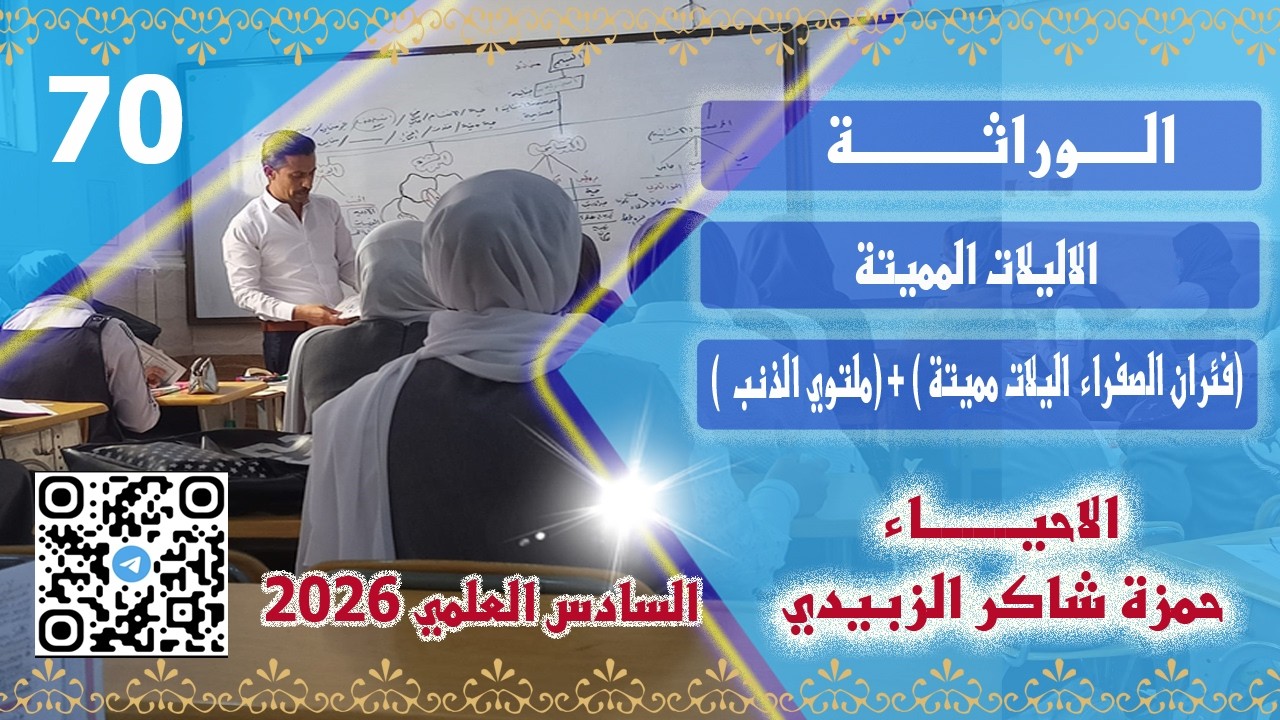 ( فئران صفراء  اليلات مميتة ) + ( ملتوية الذنب صفة مندلية )