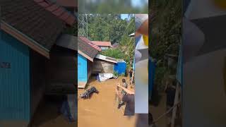 detik detik penagk4pan