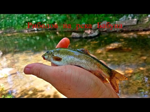 Видео: Как се лови в бързо течаща река