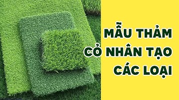 Mẫu thảm cỏ nhân tạo sân vườn hiện nay | Cỏ nhân tạo SG