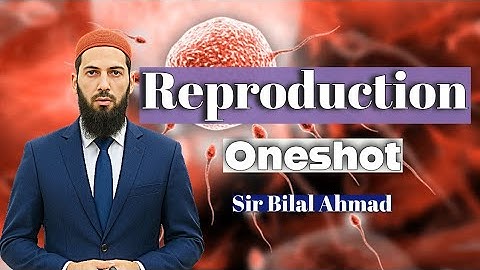 Reproduction in Oneshot | Sir Bilal Ahmad | MDCAT/NUMS Biology Syllabus 2025